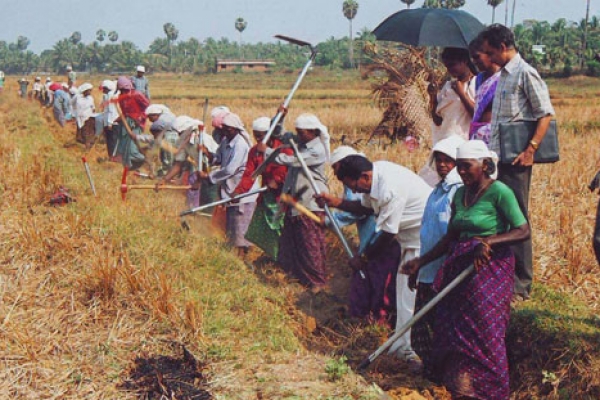 collectivefarming61157671-ECF6-5BC1-89E8-946A389B99DE.jpg